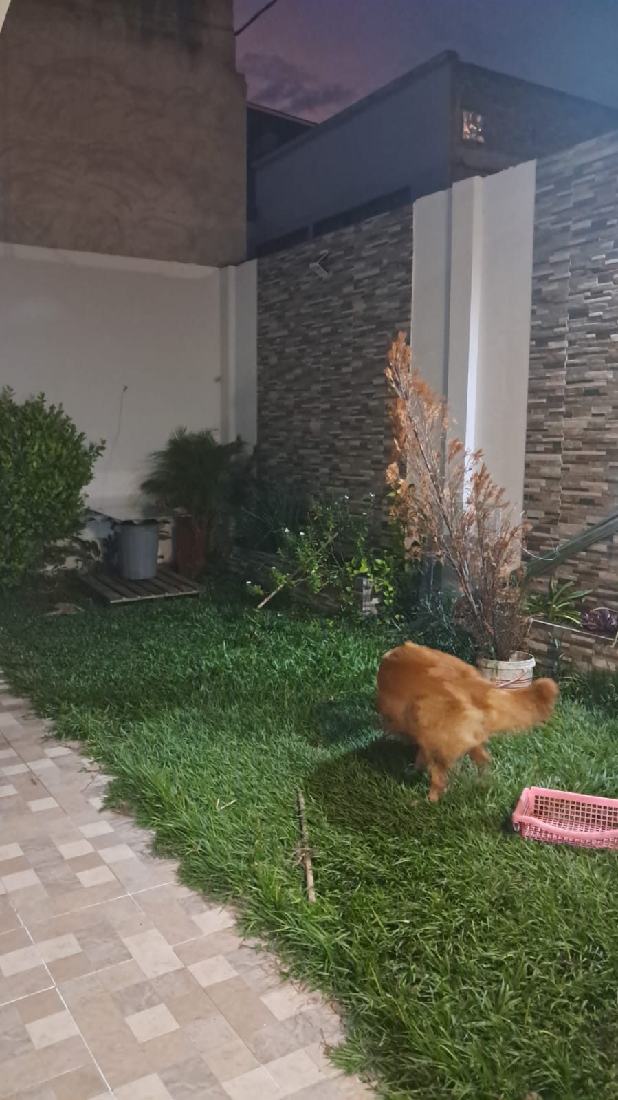 Foto 4 de Casa en Venta | Vipasa