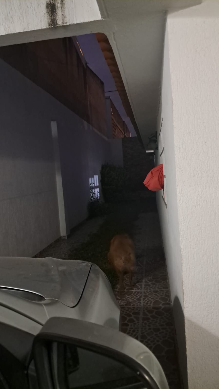 Foto 6 de Casa en Venta | Vipasa